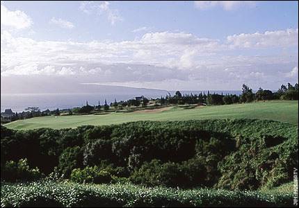 Kapalua (Plantation)