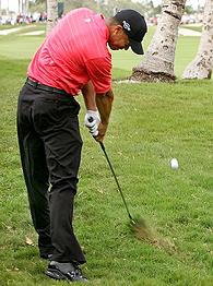 Tiger Woods