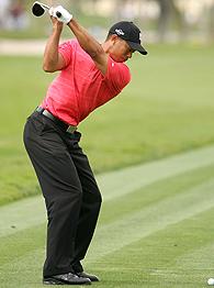 Tiger Woods