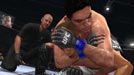 UFC Undisputed 2010