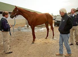 Bob Baffert