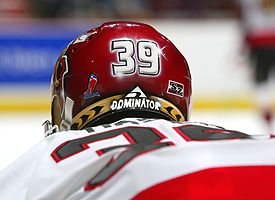 Dominik Hasek