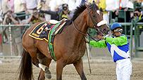 Barbaro