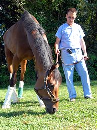 Barbaro
