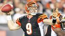 Carson Palmer #9