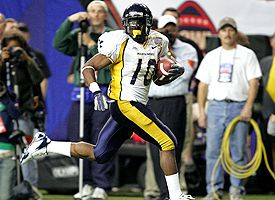 Steve Slaton