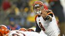 Carson Palmer