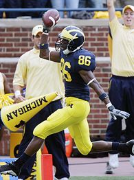Mario Manningham (86)