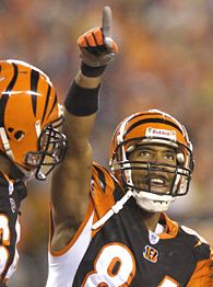 T.J. Houshmandzadeh