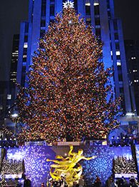 Rockefeller Center Tree