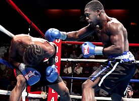 Andre Berto