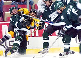 Michigan State Hockey