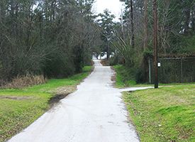 Lovie Smith Drive