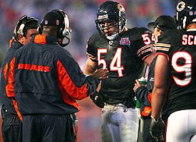 Bears Defense