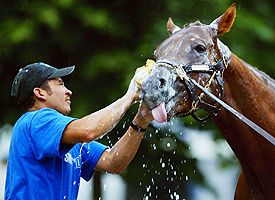 Smarty Jones