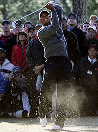 Tiger Woods