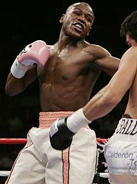 Mayweather vs. Baldomir