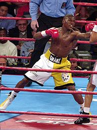Mayweather vs. Castillo