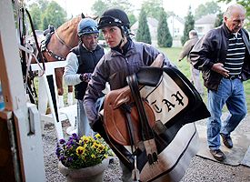 Saddle