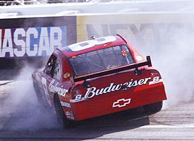 Dale Earnhardt Jr.