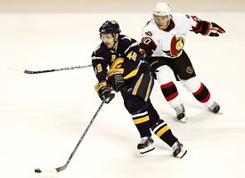 Daniel Briere
