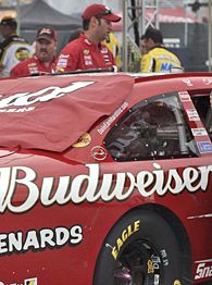 Dale Earnhardt Jr