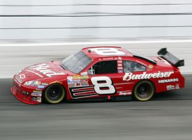 Dale Earnhardt Jr.