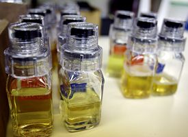 Urine Samples