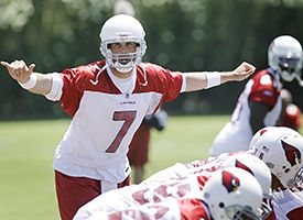 Matt Leinart