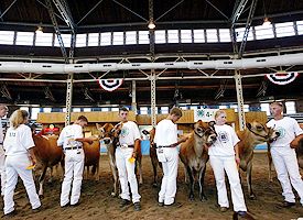Iowa State Fair