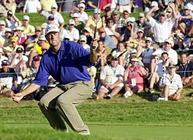 Stewart Cink