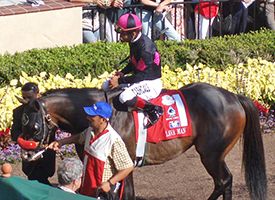 Lava Man