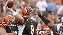 Carson Palmer