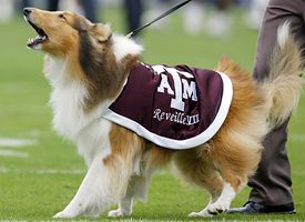 Reveille