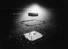 MSG