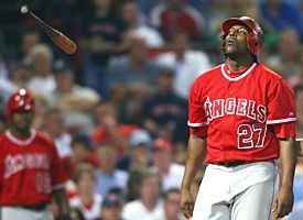 Vladimir Guerrero