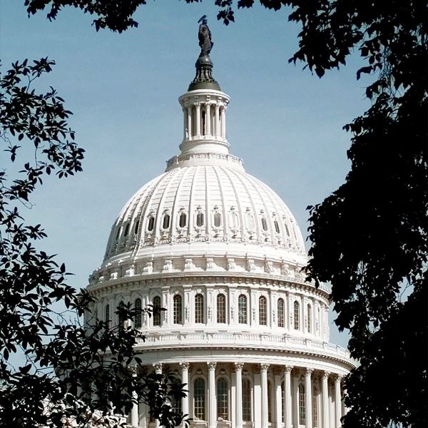 U.S. Capitol
