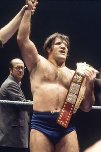 Bruno Sammartino