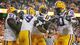 LSU Celebrates