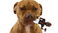 Michael Vick