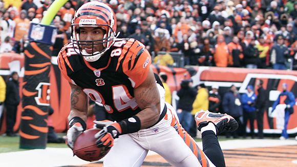 T. J. Houshmandzadeh