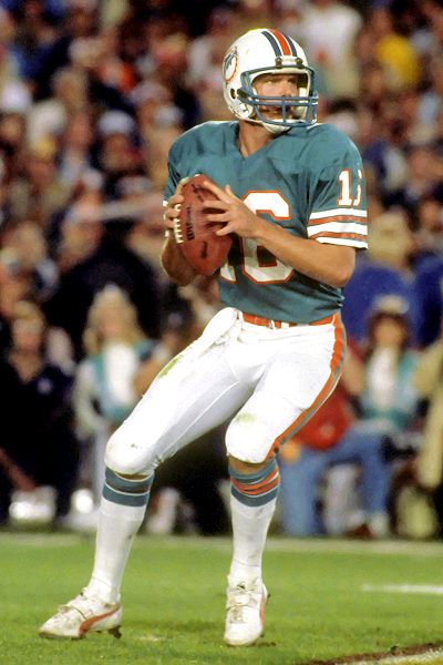 1980 miami dolphins