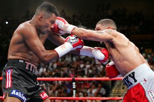 Felix Trinidad, Winky Wright