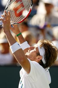 Mardy Fish