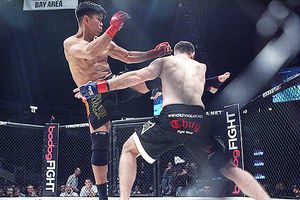 Cung Le