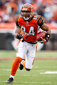 T.J. Houshmandzadeh