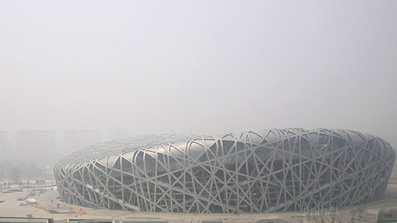 Bird's Nest
