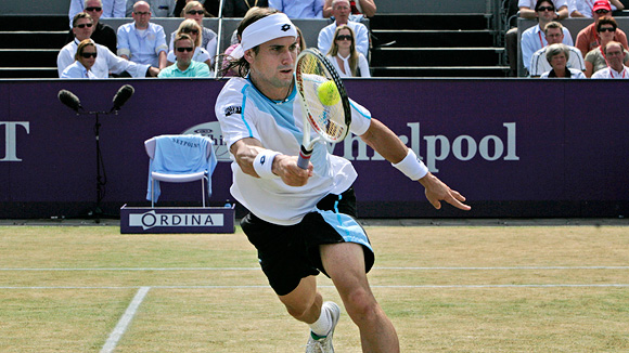 David Ferrer