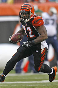 Rudi Johnson