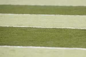 Field Turf